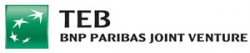 teb-joint-venture-logo